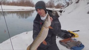 Рыба зашла в реку и клюёт на спиннинг Секреты весенней рыбалки на хищника.