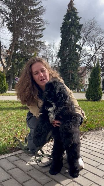 Винни-пух едет домой