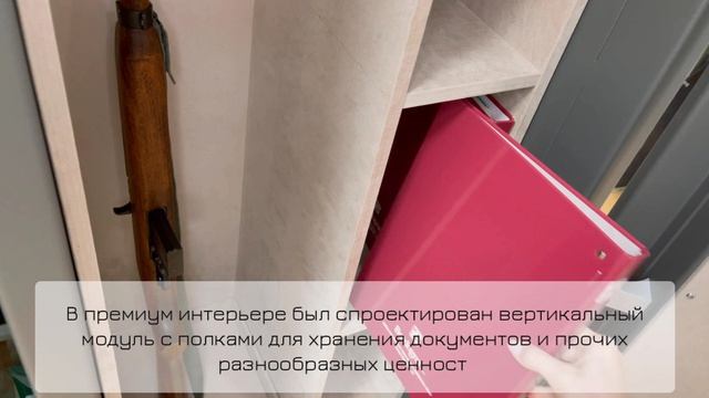 Обзор элегантного оружейного сейфа BRIXIA GUN