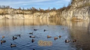 Вы дикари! Не смогли понять и оценить моего сына! -орала свекровка..  #аудиорассказы #видео #истории