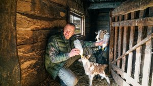 НЕ ВСЕ ВСТРЕТИЛИ ВЕСНУ , ПРОШЛА СУРОВАЯ ЗИМА! ДРУЖБА - ЭТО КОГДА НЕ НАДО ПРОСИТЬ. №385
