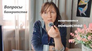 Банкротство самостоятельно и возможные изменения в 2028 г. / финансовые затраты