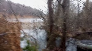 охота с подсадной на 🦆 селезня.Смоленская губерня.подсадные от ЗАГОРУЙКО