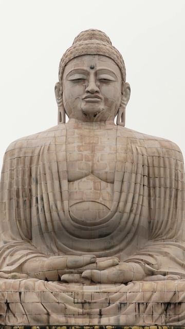 Сколько у вас энергии? ПРОСТОЙ тест! #энергия #китайскаямедицина #здоровье