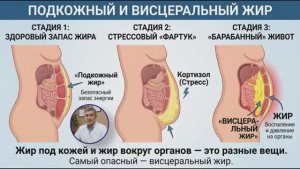 Живот уйдёт без ДИЕТ