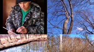 Попали в Ливень.Ставим сок Кленовый.Стрижём Барбарис