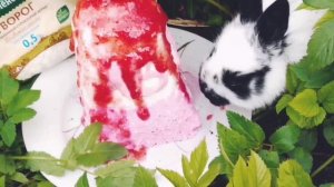 МОИ идеи к Пасхе