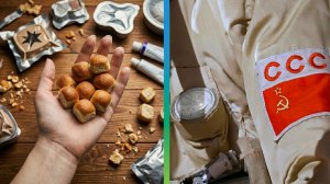 Космическая еда и быт. Как устроена жизнь в космосе?