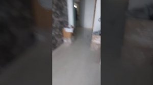 делаю по дому то что вы напишите в чатик