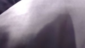 устроились на работу