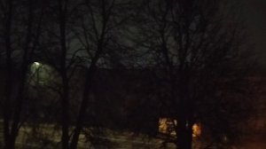 Я сегодня проснулась пол пятого утра А всему виной они