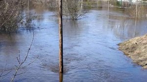 Река Линда -- разлив 4 апреля 2026 года с.Кантаурово