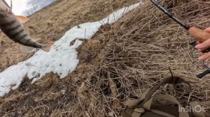 Открыл сезон 2026