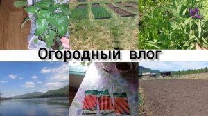 ДЕРЕВЕНСКИЙ БУДНИ! КАК МАРИНА ОГОРОД САДИЛА (АРХИВ)