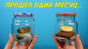 Эксперимент с поглотителем кислорода. Прошел один месяц и что