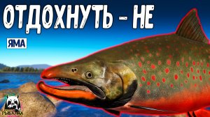 RF4 Они не дадут отдохнуть #рр4