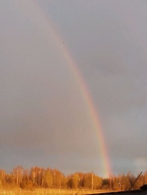 Друзья давайте знакомиться 💞