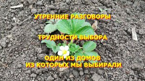 38. Переехали на Юг. Дом за 3 800 000Утренние разговоры. Трудности выбора.
