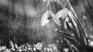 Туяна Зодбоева Хэжэнгын интернат -Эсэгын нэрэ