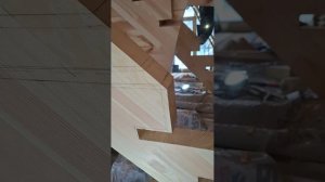 1000055233.mp4 (Собака наблюдает за устройством лестницы на 2-ой этаж в доме А-фрейм)