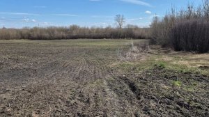 Разговор о клещах, в этом году кошмар просто