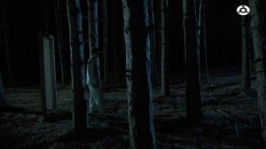 Знаете ли вы? Всё о лунатизме: причины, симптомы и способы борьбы с этим явлением