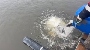 copy_A2E221C0-B622-4BE2-9EDB-31B76D20B9B2