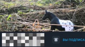 Эдит фильму и его владельцу) очень старалась надеюсь оценишь❤️