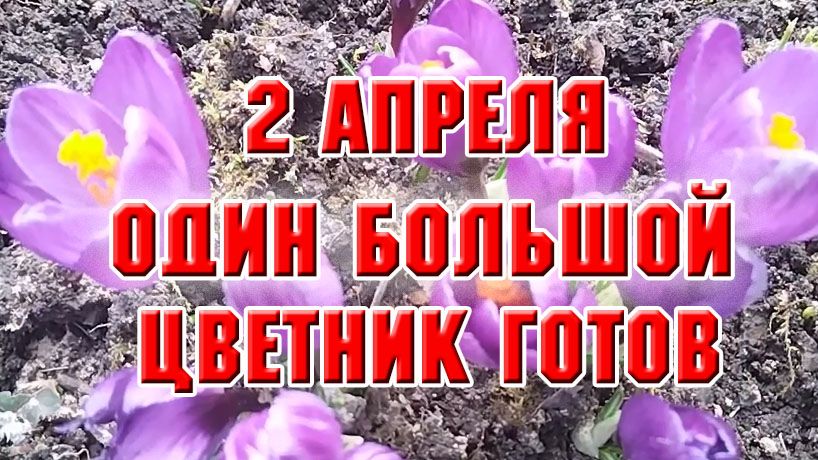 2 апреля. Привела в порядок первый большой цветник