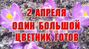 2 апреля. Привела в порядок первый большой цветник