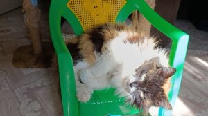 Пятница отдыхает