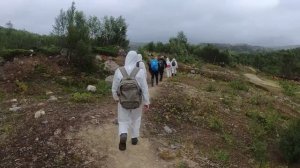 В пасть дракона