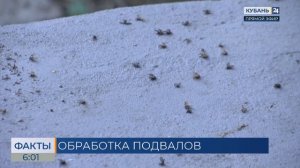 В Краснодаре обработают подвалы многоэтажек от комаров и клещей