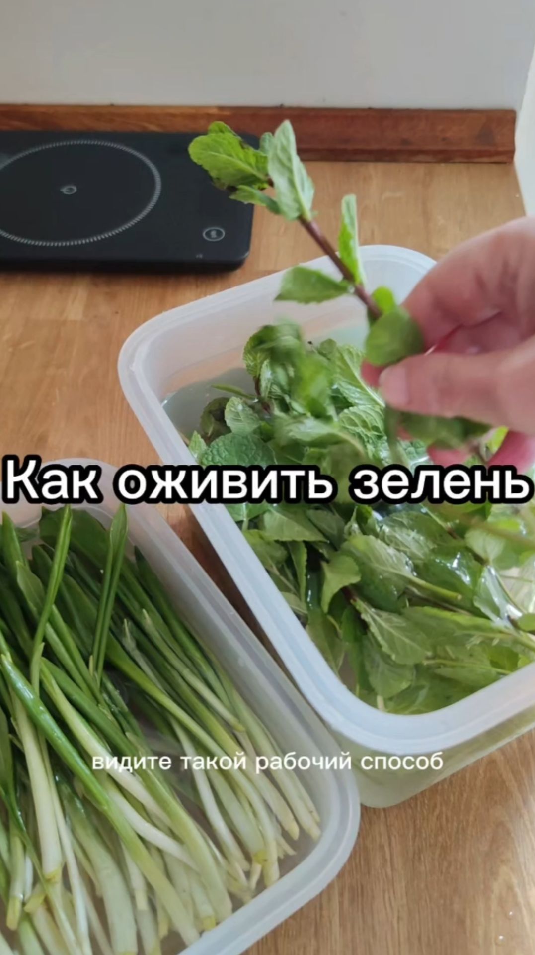 Как оживить подвявшую зелень