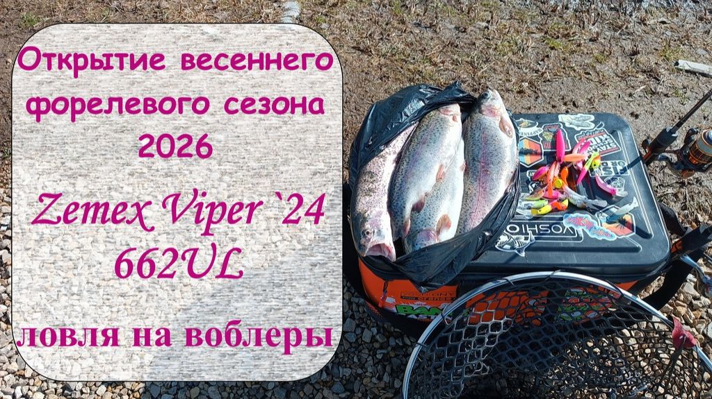 Открытие весеннего форелевого сезона 2026. Zemex Viper `24 662UL. Ловля на воблеры.