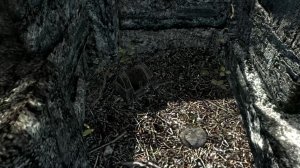 The Elder Scrolls V: Skyrim. Сейф, который очень трудно найти. Прохождение от SAFa