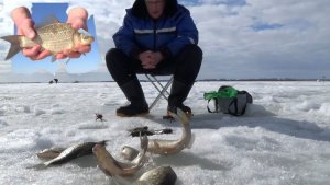 Ловля карася со льда, весной.Озеро Маян.