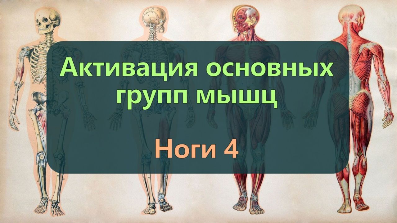 Активация мышц ног 4 — Ягодицы и сгибатели тазобедренные