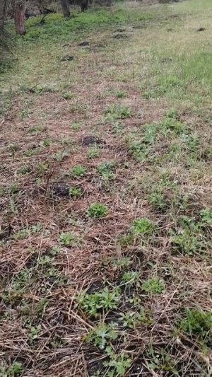 VID_20260407_152705.mp4