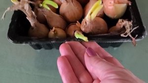 И жить хорошо и жизнь хороша/Svetlana.Беларусь 🇧🇾/