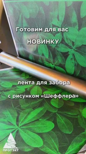 Заборная лента «Шеффлера»🔥Трендовый дизайн 2026 для Вашего участка #забор #дача