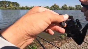 Осенний жор крупного карася и амура, рыбалка на донку!