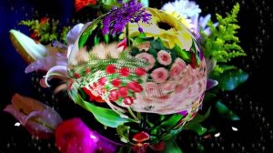 Футажи! Футаж Букеты роз К 2 от Киностудии Мудрого Кота Тимофея!!!