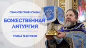 Божественная Литургия.Прямая трансляция