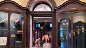 1 Кунсткамера 1 серия [get.gt]