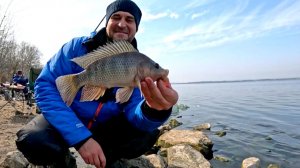 ТИЛАПИЯ НА ФИДЕР! Клев который я не забуду! Рыбалка в апреле