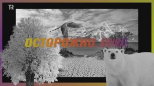 Ученые о глобальном потеплении