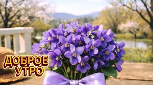 ДОБРОЕ УТРО! открытки для души с добрым утром! ✨☀️