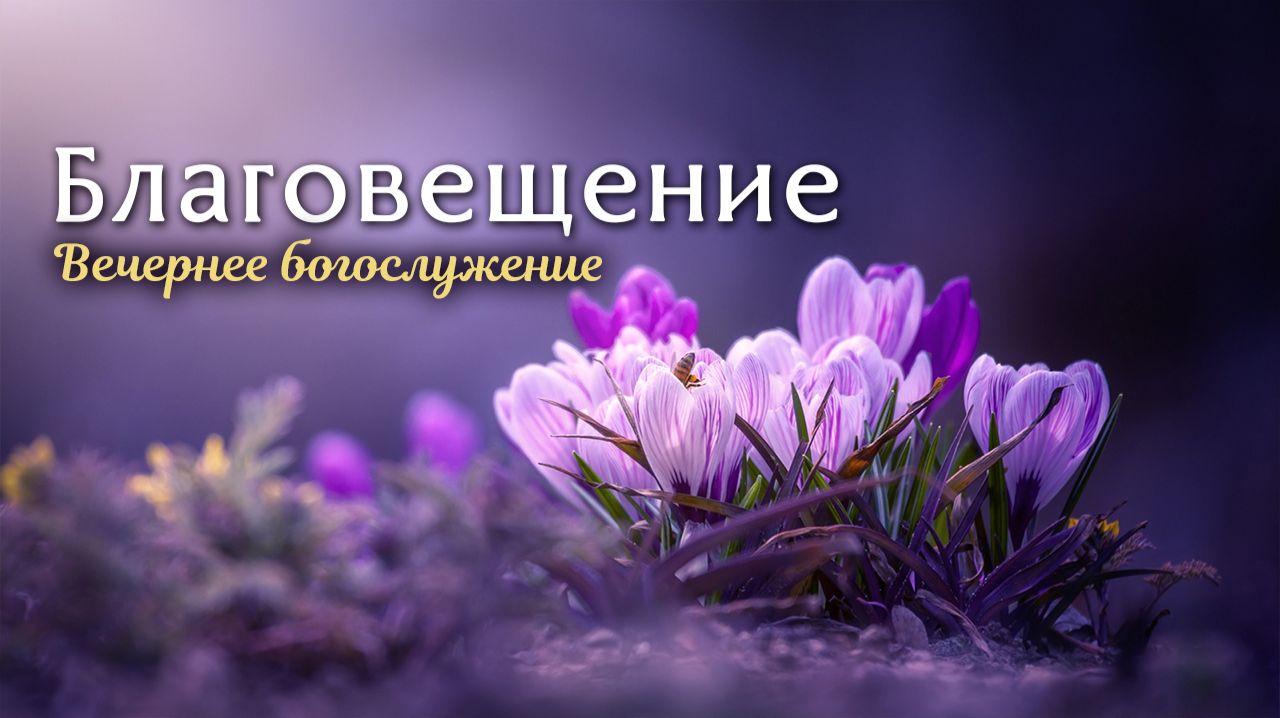 7 апреля 2026 19-00