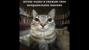 Разговоры с кллекторами 127